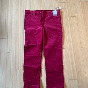 NWT GAP Women's Slim Leg Ankle-length Sz. 14 Petite/Short Velvet Pants